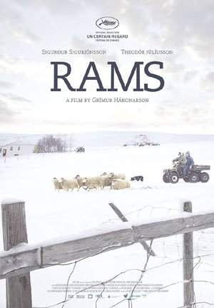 Das Filmplakat zu "rams" / "Sture Böcke".